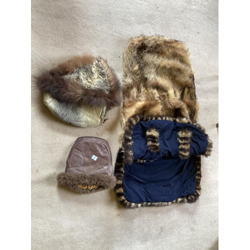 1601 - An unusual collection of 19th Century 'Arctic' items, including a natural fur sleeping bag, and two ... 