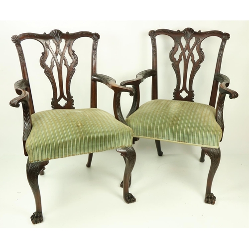 359 - A pair of Irish 18th Century style mahogany Dining Room Armchairs, each with a shell crested top rai... 