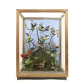 Taxidermy:  A very attractive collection of colourful Exotic Birds, stuffed and mounted on tree bran... 