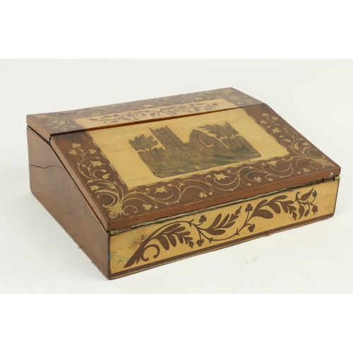 86 - A fine quality 19th Century arbutus Killarney wood slope front Writing Box, the top with central des... 