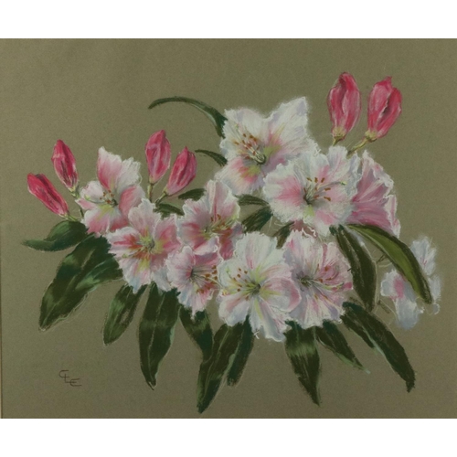 20 - Caryl Lucas-Chement (XX-XXI)'Pink Flowers,' pastel, on buff paper, 21 1/2' x 17 3/4' (54cms x 45cms)... 