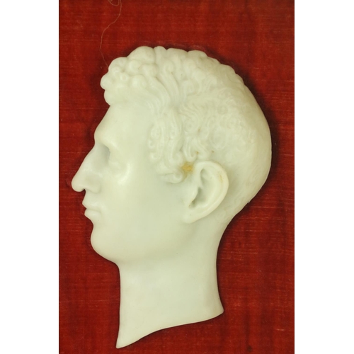 228 - A 19th Century alabaster relief Head Profile of a Young Gentleman, with label on reverse David Brand... 