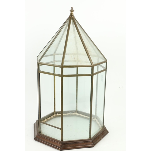 1015 - A very attractive brass and mahogany Terrarium, of architectural form, the octagonal frame with 17 g... 