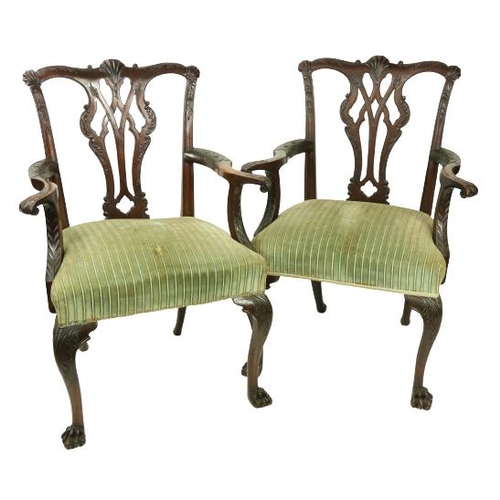 359 - A pair of Irish 18th Century style mahogany Dining Room Armchairs, each with a shell crested top rai... 