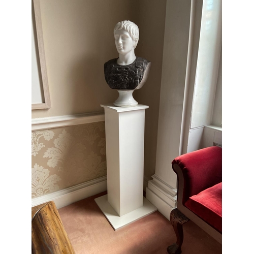 800 - A two colour carved marble Bust, ''Caesar Augustus'' 25'' x 15'' (63cms x 38cms), on square painted ... 