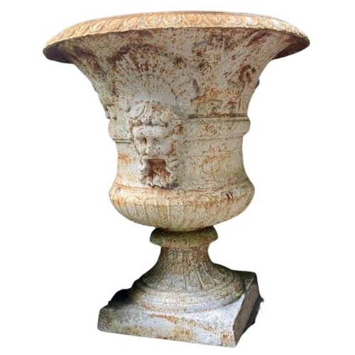 1004 - A very fine pair of heavy compana shaped cast iron Garden Urns, each with egg and dart folded rim ab... 