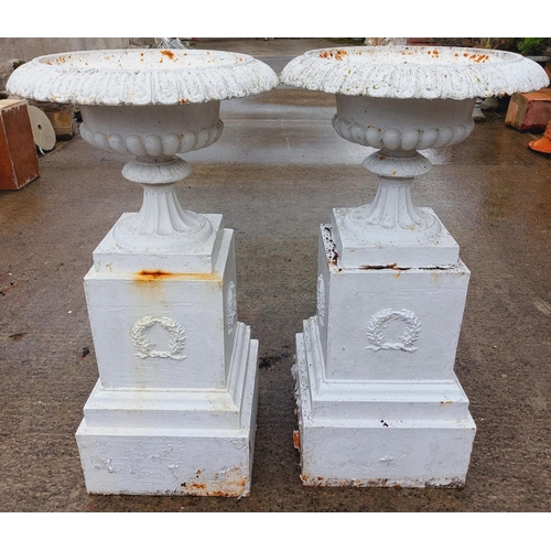 1014 - A pair of attractive tall Victorian cast iron Urns on stands, with egg and dart rims outsplayed pill... 