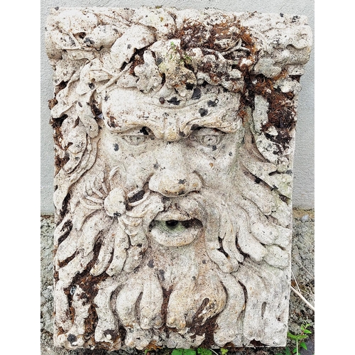 1019 - A composition wall mount Water Feature, modelled as Circinus, approx. 62cms high x 43cms wide (24