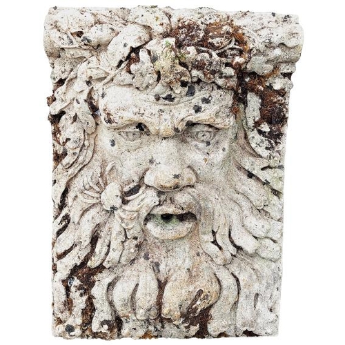 1019 - A composition wall mount Water Feature, modelled as Circinus, approx. 62cms high x 43cms wide (24