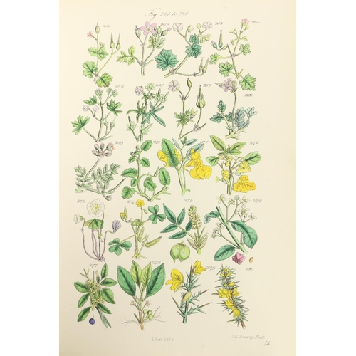 84 - Hand-Coloured PlatesSowerby (John E.) British Wild Flowers, roy 8vo Lond. 1876. Re-Issue, 91 en... 