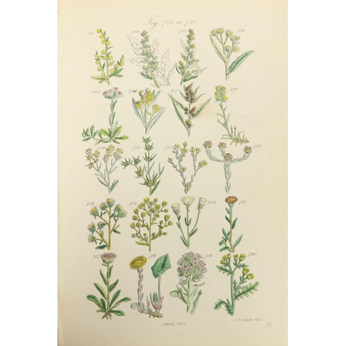 84 - Hand-Coloured PlatesSowerby (John E.) British Wild Flowers, roy 8vo Lond. 1876. Re-Issue, 91 en... 