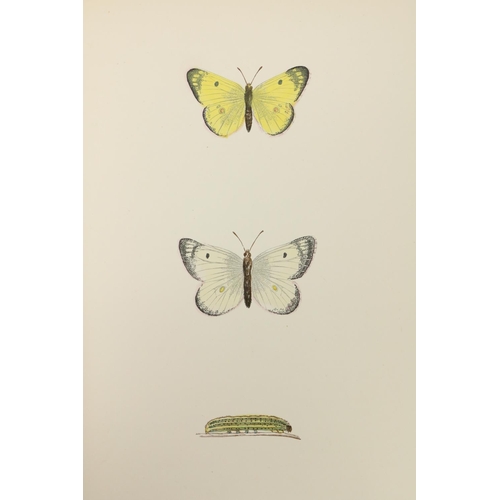 85 - With Hand-Coloured PlatesMorris (F.O.) A History of British Butterflies, Sm. folio Lond. 1895. ... 