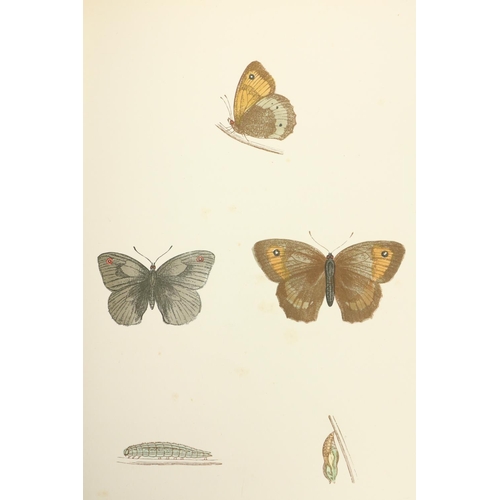 85 - With Hand-Coloured PlatesMorris (F.O.) A History of British Butterflies, Sm. folio Lond. 1895. ... 