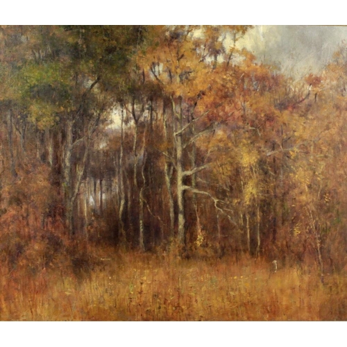 24 - North American School, 20th Century'A Forest Landscape,' O.O.C., approx. 55cms x 65cms (22