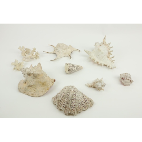 27 - A quantity of miscellaneous Sea Shells and Coral. (a lot)... 