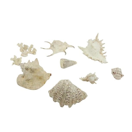 27 - A quantity of miscellaneous Sea Shells and Coral. (a lot)... 