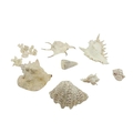 A quantity of miscellaneous Sea Shells and Coral. (a lot)... 