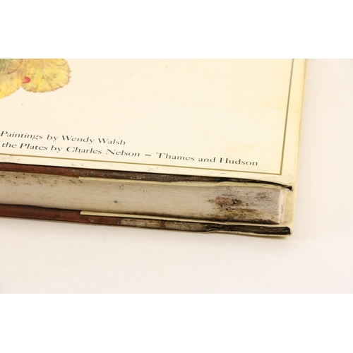 421 - Walsh (Wendy) An Irish Florilegium, folio L. 1983, cold. plts. some minor damp stains lower edge; Ne... 