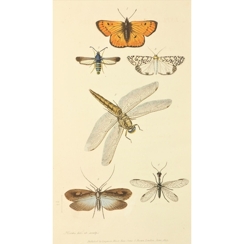 653 - With Hand-Coloured PlatesKirby (Wm.) & Spence (Wm.) An Introduction to Entomology, 4 vols. 8vo L... 