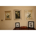 A collection of 3 colourful Still Life Flower Prints, various sizes and two Photographs. (5)... 