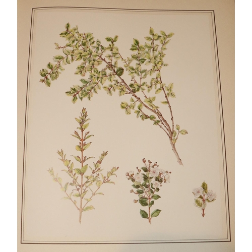 512 - Walsh (Wendy) & Nelson (Chas.) An Irish Florilegium Wild and Garden Plants of Ireland, ... 