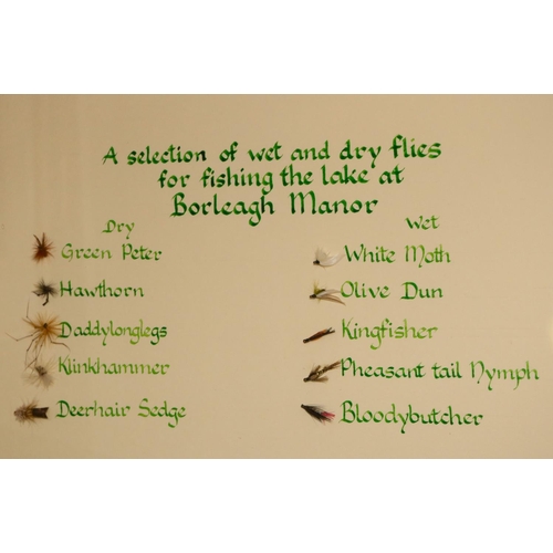 117 - A selection of wet and dry Flies, for fishing the lake at Borleagh Manor with manuscript text, mount... 