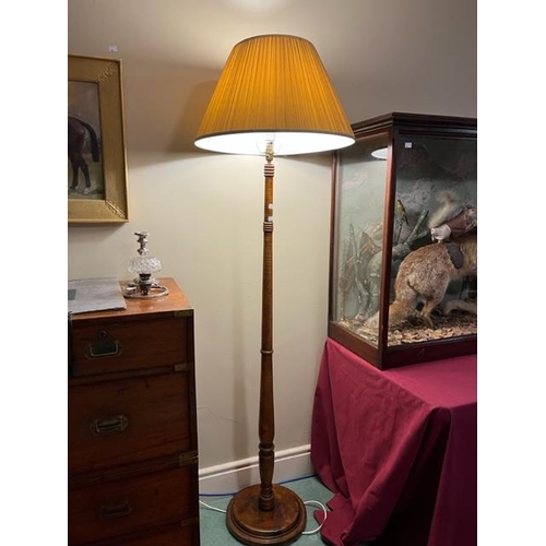 194 - A very attractive Chippendale style mahogany Standard Lamp, with three stage stem carved with leaves... 