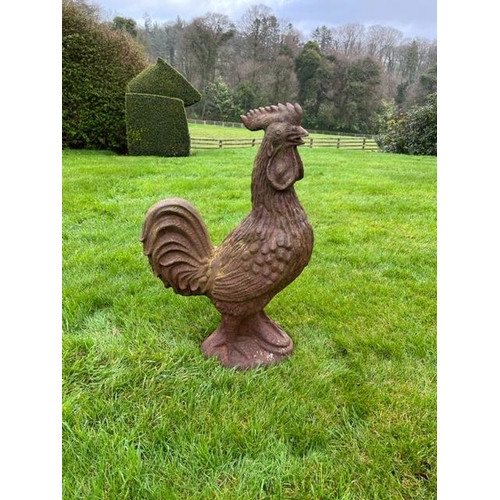 573 - A cast iron model of a Rooster, approx. 36