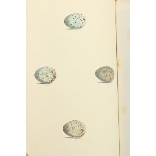 56 - With Hand-Coloured Plates Hewitson (Wm. C.) British Oology; Being Illustrations of the Eggs of Briti... 