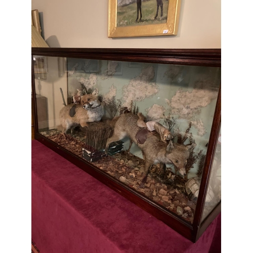 115 - Taxidermy:  A rare Victorian Anthropomorphic Diorama, depicting a racing scene with two saddled foxe... 