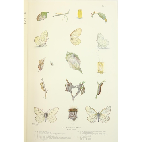 97 - Frohawk (F.W.)  Natural History of British Butterflies, 2 vols. folio Lond. 1914. First Edn., 60 col... 