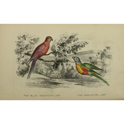 794 - With Hand-Coloured IllustrationsExperienced Dealer: The Parrot-Keeper's Guide, Comprising the Natura... 