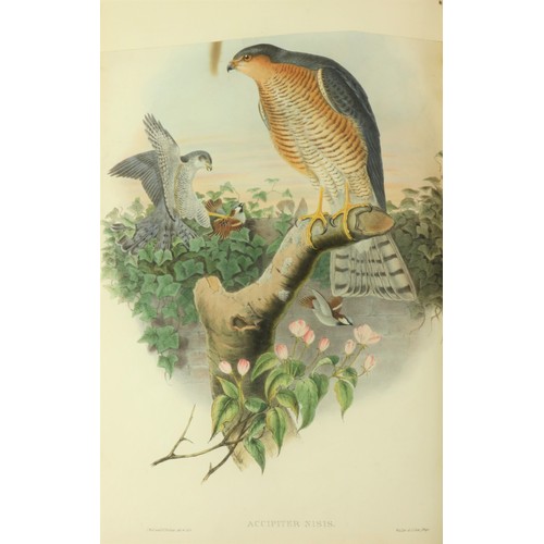 419 - With 363 Hand-Coloured PlatesGould (John) “The Birds of Great Britain”, 5 vols. lg. atlas folio, Lon...