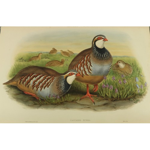 419 - With 363 Hand-Coloured PlatesGould (John) “The Birds of Great Britain”, 5 vols. lg. atlas folio, Lon... 