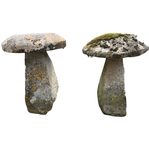 1401 - A quality pair of 19th Century granite 