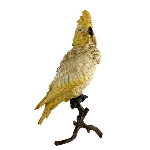 1045 - A quality Austrian coal painted Figure of a Cockatoo, modelled perched on a naturalist branch base, ... 