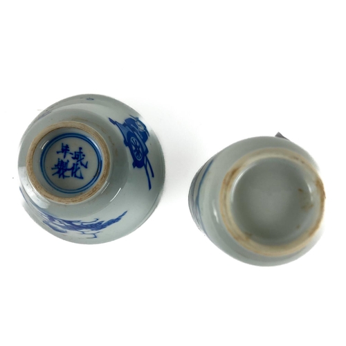 267 - A small Chinese blue and white porcelain Tea Cup, with figures and plants, the interior wi... 