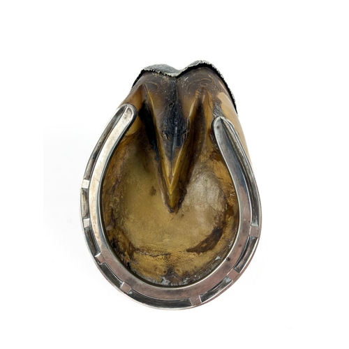 318 - Military: [Coldstream Guards], a silver mounted horse hoof modelled as an Inkwell, inscribed on top ... 