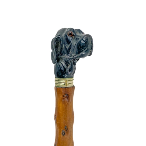 697 - A rare 19th Century Gentleman's Swagger Stick, with ebonised and carved Great Dane head handle, with... 