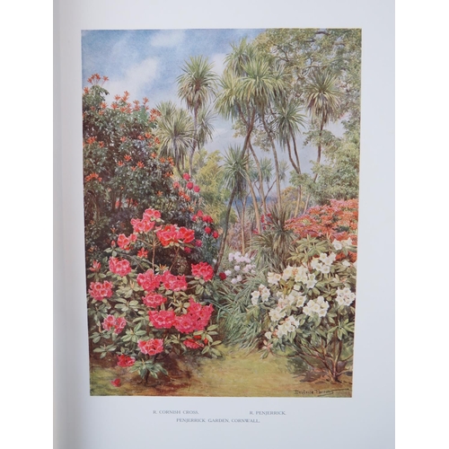 225 - Millais (J.G.) Rhododendrons and The Various Hybrids, Second Series. Lg. folio L... 