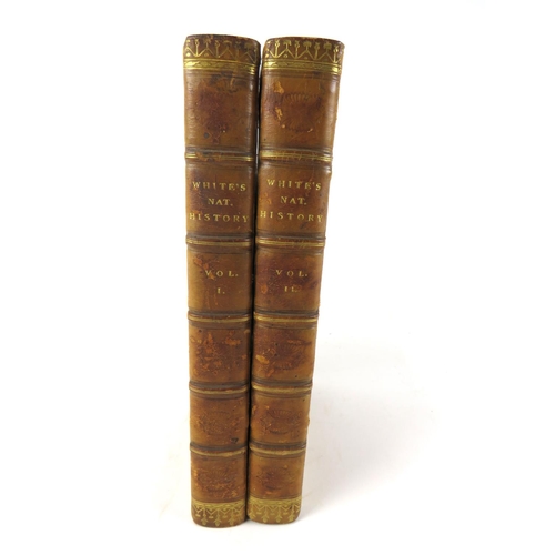 270 - White (Rev. Gilbert) The Natural History of Selborne, 2 vols. 8vo Lond. 1813. New Edn... 