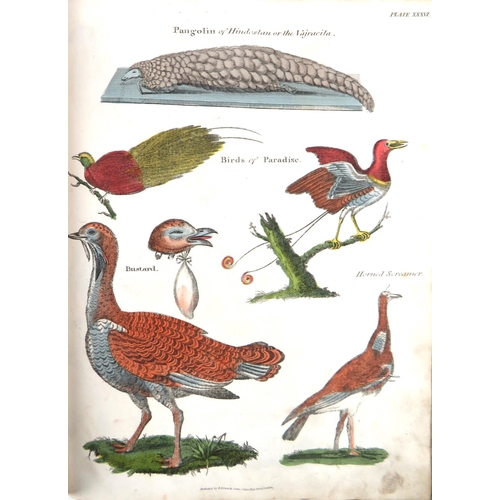 313 - Coloured Plates: Shaw (G.F.) The Panorama of Nature, lg. 4to Lond. (Published by R. Edwards) 1819. H... 