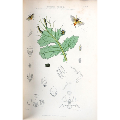 331 - With Attractive Coloured PlatesCurtis (John) Farm Insects: Being the Natural History and Econom... 