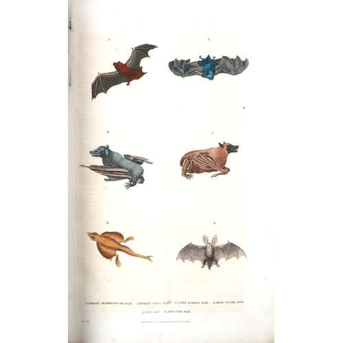 355 - With Elegantly Hand-Coloured PlatesMartyn (Wm. F.) A New Dictionary of Natural History, 2 vols. in o... 