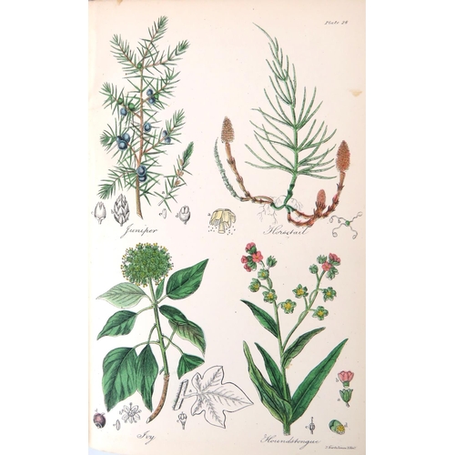 437 - Coloured Plates: Barton(B.H.) & Castle (Thos.) The British Flora Medica:... Medicinal Plant... 