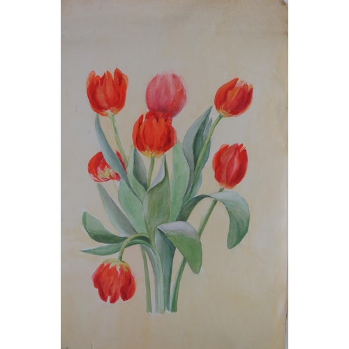 661 - Elizabeth 'Lizzie' Dunlop, 20th Century IrishOriginal Drawings & Watercolours: (Dunlop (E.)) A l... 