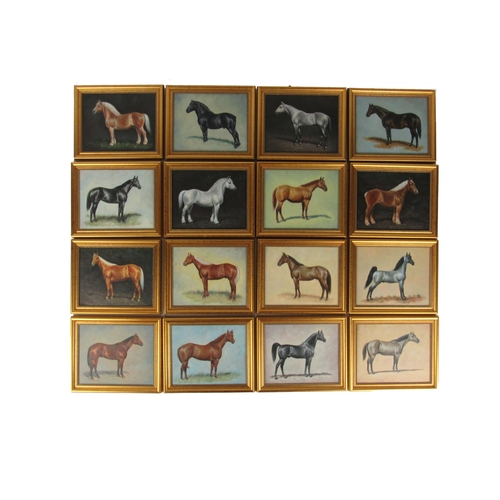 1121 - 20th Century Irish SchoolEquestrian: A set of sixteen original Oils on Board, depicting various Hors... 