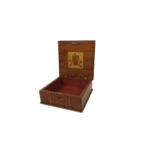 647 - An attractive 19th Century Irish 'Killarney Wood' square marquetry Box, with hinged lid the top deco... 