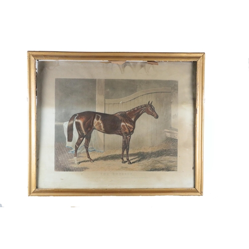 712 - Equestrian Prints: A group of five coloured Lithographic Prints, to include -* Virago - property of ... 