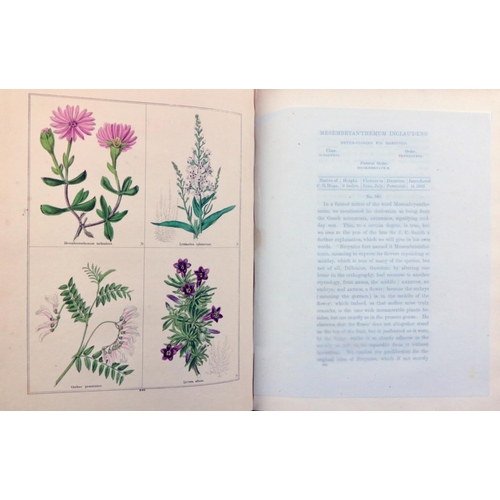 202 - Hand-coloured Plates:  Moore (Thos.) & Ayres (Wm. P.) The Gardener's Magazine of ... 